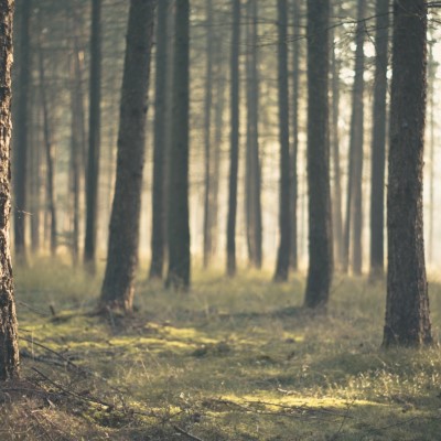 1920 x 1080 HD Wallpapers 1571